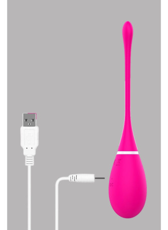 Œuf vibrant 12 modes avec télécommandé USB Rose - TOD-088PNK